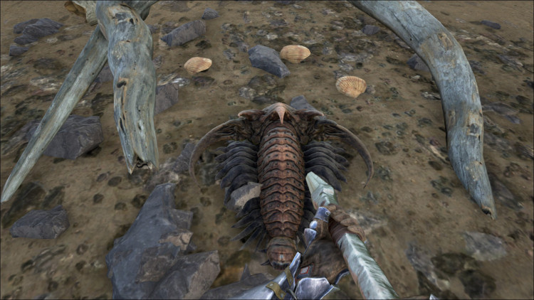 Trilobite On Land - Ark Survival Evolved. 