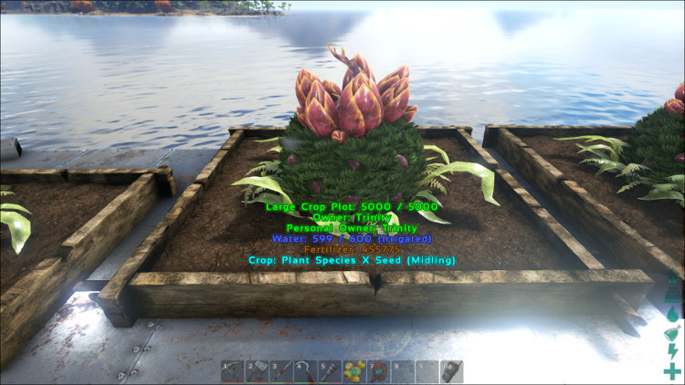 When Plant Species X reaches its middle growth stage on the Ark it will look similar to this image.