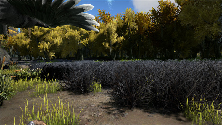 Rare Flowers Ark Survival Evolved