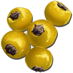 Amarberries are a common drop from harvesting most bushes in Ark.