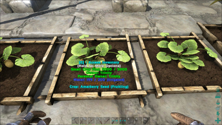 Amarberries can be grown in any size of crop plot in Ark. In this image the Amarberries are growing in a small crop plot.