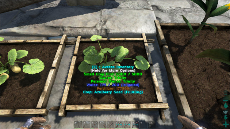 Azulberries can be grown in any size of crop plot in Ark. Here we see Azulberries growing in a small crop plot.