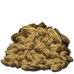 Rockarrot Seeds are an uncommon drop in Ark found by harvesting nearly any bush.