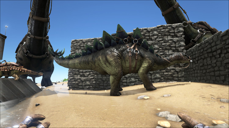 The Stego or Stegosaurus is a good Dino for harvesting berries and seeds in Ark. It is an easy early to mid-game tame.