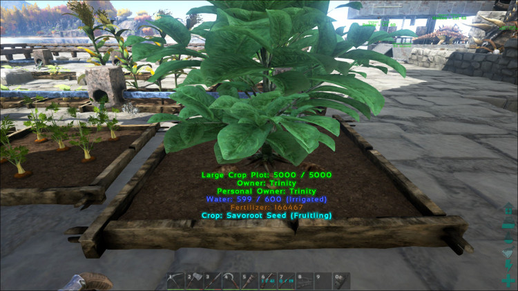 Savoroot is an advanced crop in Ark. While its seeds can be found by harvesting nearly any bush, Savoroot can only be found and harvested in Crop Plots.
