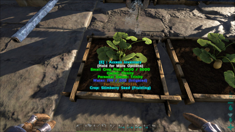 Stimberries can be grown in any Crop Plot in Ark. In this image the Simberries are growing in a Small Crop Plot.