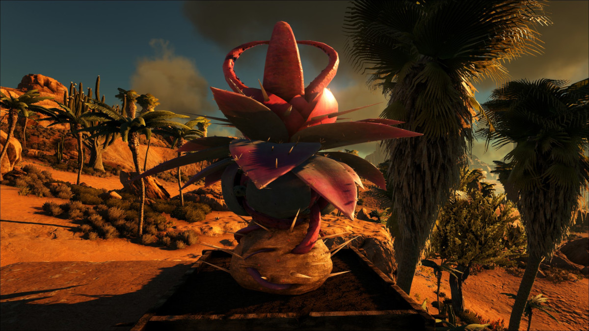Plant Species Y is one of the rare plants in Ark Survival Evolved. Once fully grown this plant will produce the Plant Species Y Trap.