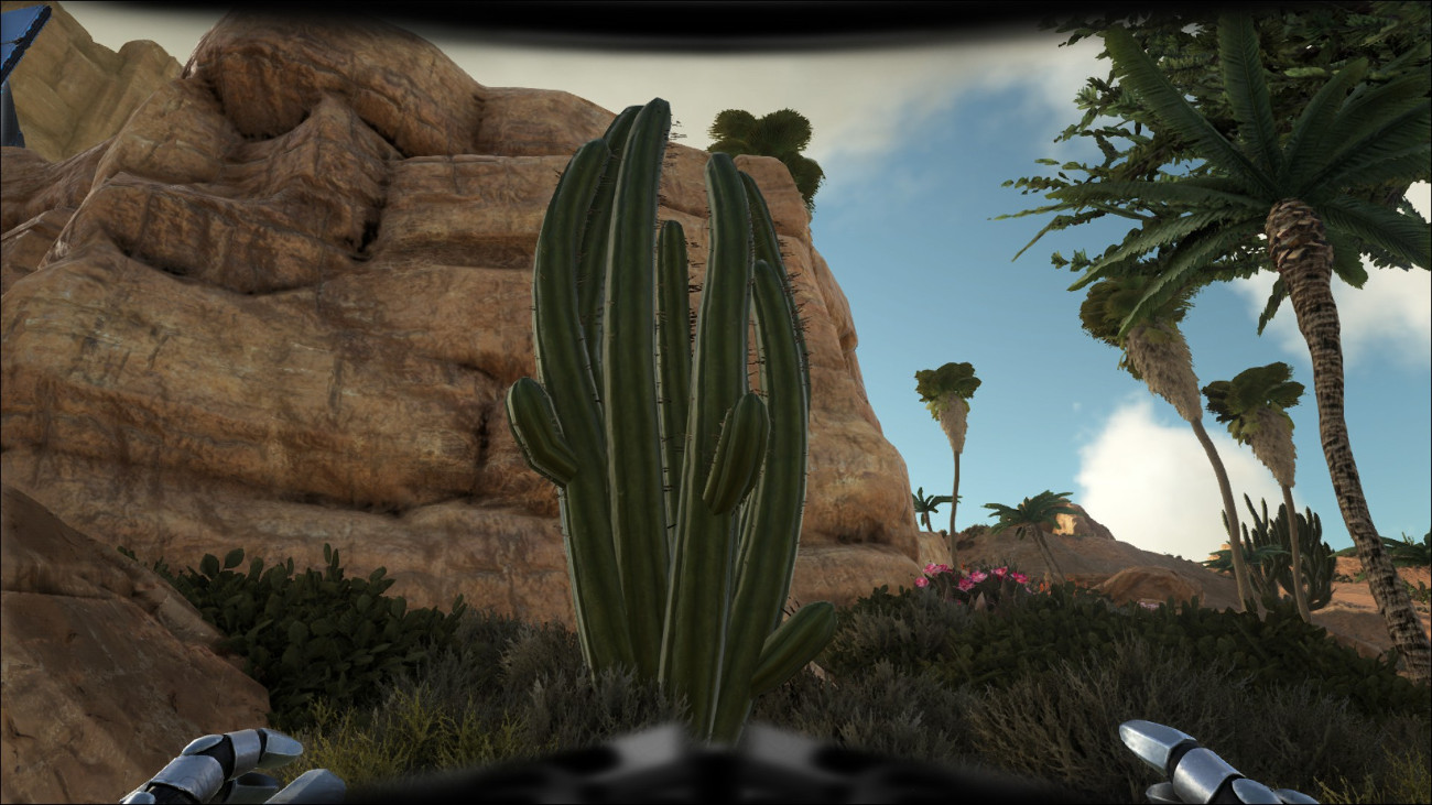 Harvest the various Cactus to collect Cactus Sap in Ark Scorched Earth.