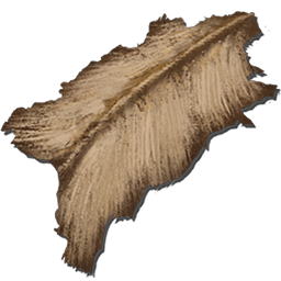 Hides are harvested from various animals in Ark and are used in a wide variety of crafting projects.