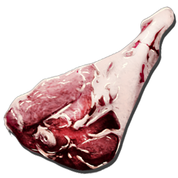 Raw Prime Meat is a rare food source in Ark that is also used in taming. It should be cooked before it is eaten.