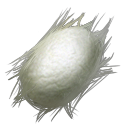 Silk is a common resource used in crafting in Ark Scorched Earth.