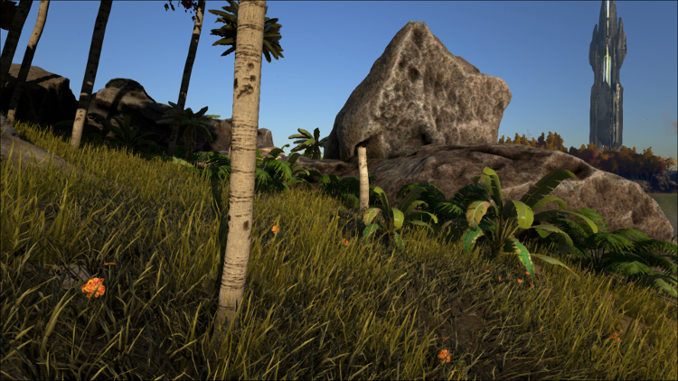Rocks can be found almost everywhere in Ark. They are a primary building material.
